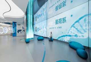 阳江全自动吸塑盒诚信推荐