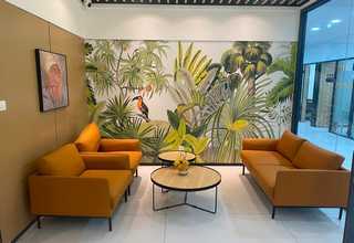 惠阳可食用龟食用方法